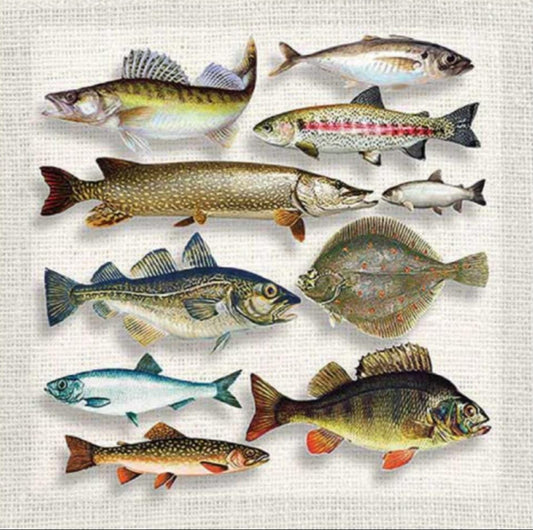 Fish Paper Napkin - Luncheon Size