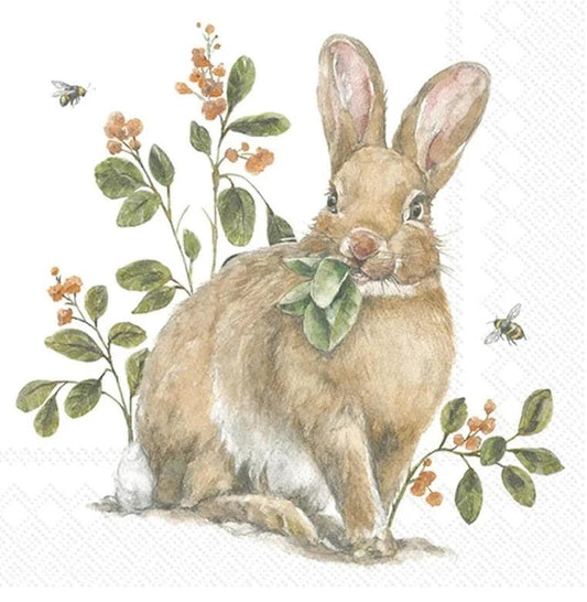 Easter Bunny Clover Paper Napkin - Cocktail Size