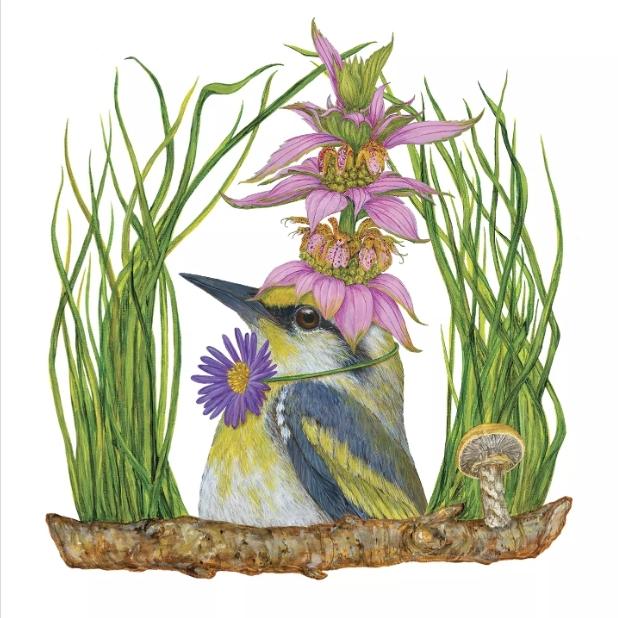 Bird Kingfisher Spring Paper Napkin - Cocktail Size