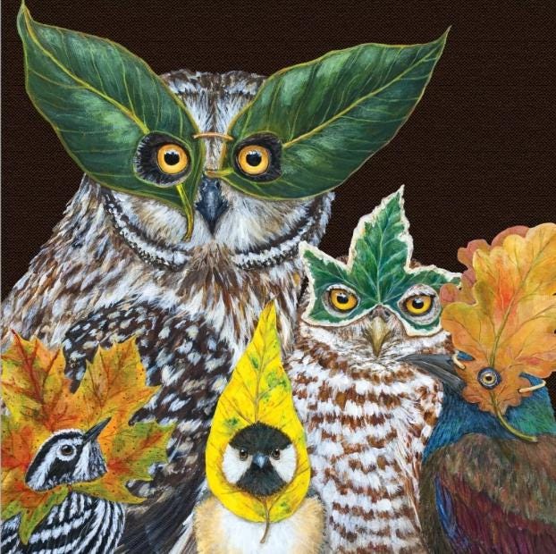 Fall Owl Birds  - Cocktail Size