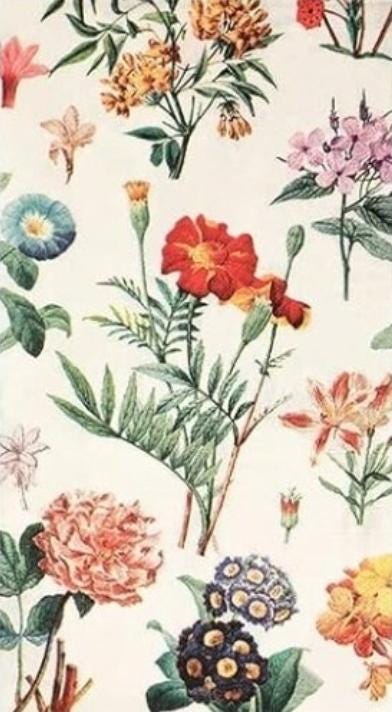 Wild Flower Paper Napkin - Guest Size