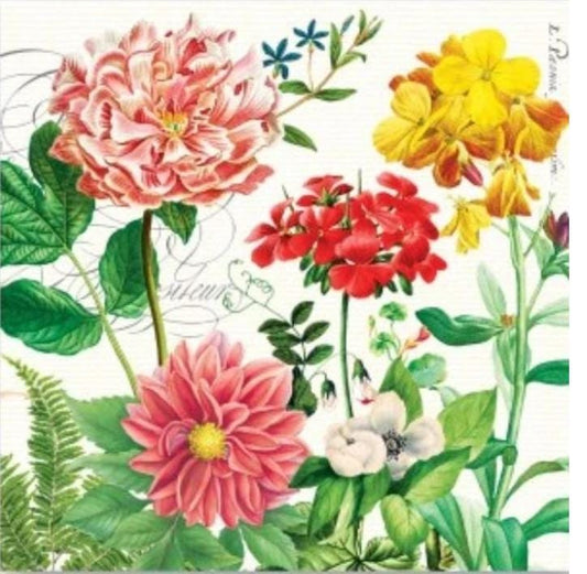 Geranium Daisy Flowers Paper Napkin - Cocktail Size