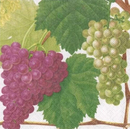 Grape Wine Vineyard Paper Napkin - Cocktail Size