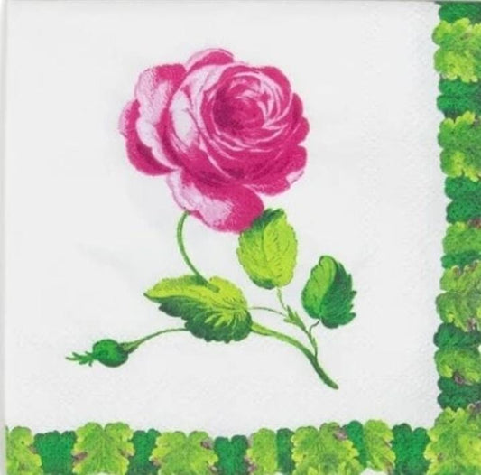 Pink Rose Paper Napkin - Cocktail Size