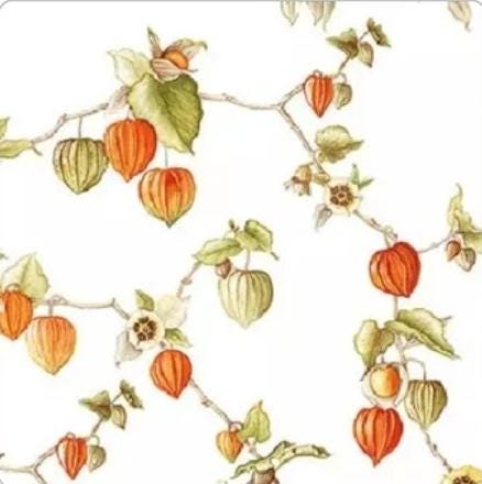 Fall Lampion Flower Floral Paper Napkin - Cocktail Size